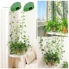 Gardening & Outdoor |  Plant Climbing Wall Fixture Clips, Self-Adhesive Invisible Support Hook For Wiring Gardening & Outdoor Gardening & Outdoor