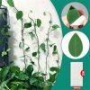 Gardening & Outdoor |  Plant Climbing Wall Fixture Clips, Self-Adhesive Invisible Support Hook For Wiring Gardening & Outdoor Gardening & Outdoor