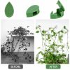 Gardening & Outdoor |  Plant Climbing Wall Fixture Clips, Self-Adhesive Invisible Support Hook For Wiring Gardening & Outdoor Gardening & Outdoor