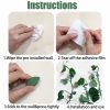 Gardening & Outdoor |  Plant Climbing Wall Fixture Clips, Self-Adhesive Invisible Support Hook For Wiring Gardening & Outdoor Gardening & Outdoor