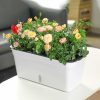 Gardening & Outdoor |  Self Watering Planter Pot, Double Layer Flower Pot With Visible Water Level Gardening & Outdoor Gardening & Outdoor