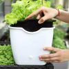 Gardening & Outdoor |  Self Watering Planter Pot, Double Layer Flower Pot With Visible Water Level Gardening & Outdoor Gardening & Outdoor