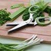 Kitchen Improvement |  Kitchen Scissor, Stainless Steel 5 Blade Kitchen Gadget, Multi-Layer Herb Scissors Cookware, Cutleries & Mugs Cookware, Cutleries & Mugs