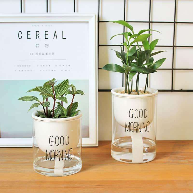 Home Decor |  Self Watering Indoor Plant Pot With Good Morning Slogan